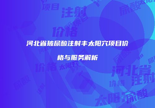 河北省玻尿酸注射丰太阳穴项目价格与服务解析