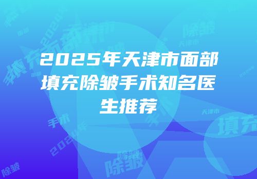 2025年天津市面部填充除皱手术知名医生推荐