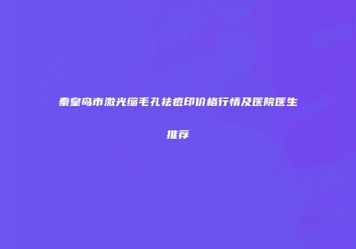 秦皇岛市激光缩毛孔祛痘印价格行情及医院医生推荐