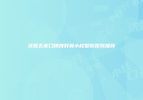 沈阳五家口碑良好鼻小柱整形医院推荐
