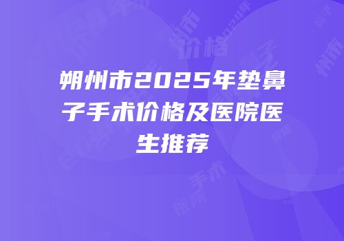 朔州市2025年垫鼻子手术价格及医院医生推荐