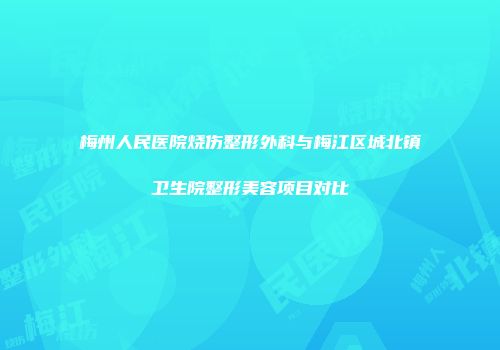 梅州人民医院烧伤整形外科与梅江区城北镇卫生院整形美容项目对比