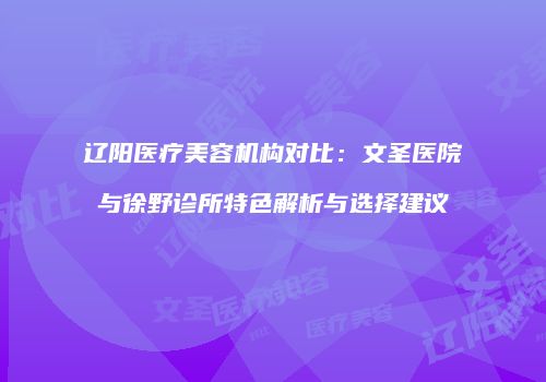 辽阳医疗美容机构对比：文圣医院与徐野诊所特色解析与选择建议