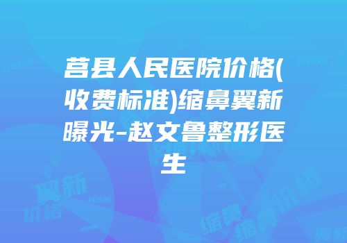 莒县人民医院价格(收费标准)缩鼻翼新曝光-赵文鲁整形医生