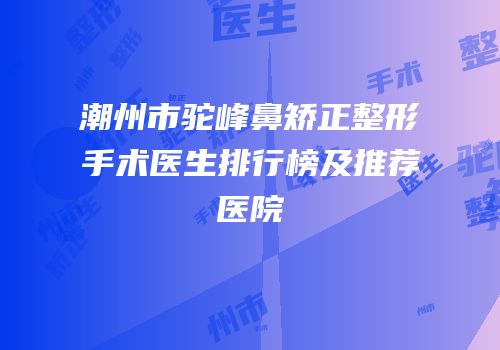 潮州市驼峰鼻矫正整形手术医生排行榜及推荐医院