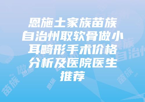 恩施土家族苗族自治州取软骨做小耳畸形手术价格分析及医院医生推荐