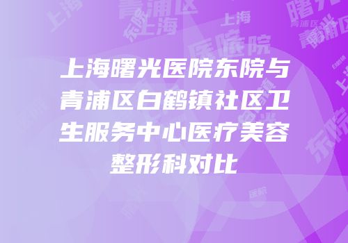 上海曙光医院东院与青浦区白鹤镇社区卫生服务中心医疗美容整形科对比