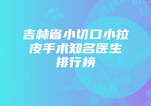 吉林省小切口小拉皮手术知名医生排行榜