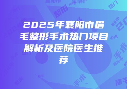 2025年襄阳市眉毛整形手术热门项目解析及医院医生推荐