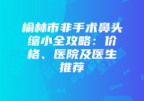 榆林市非手术鼻头缩小全攻略：价格、医院及医生推荐
