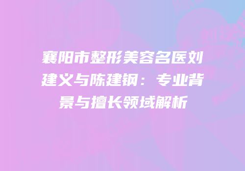 襄阳市整形美容名医刘建义与陈建钢：专业背景与擅长领域解析