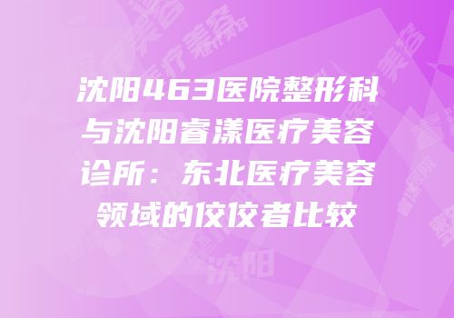 沈阳463医院整形科与沈阳睿漾医疗美容诊所：东北医疗美容领域的佼佼者比较