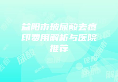 益阳市玻尿酸去痘印费用解析与医院推荐