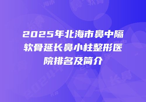 2025年北海市鼻中隔软骨延长鼻小柱整形医院排名及简介