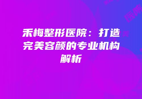 禾梅整形医院：打造完美容颜的专业机构解析