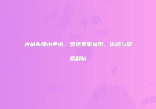 大鼻头缩小手术：塑造美丽鼻型，价格与因素解析