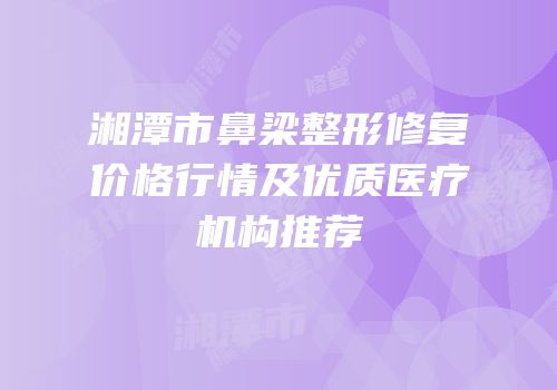 湘潭市鼻梁整形修复价格行情及优质医疗机构推荐