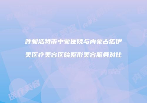 呼和浩特市中蒙医院与内蒙古诺伊美医疗美容医院整形美容服务对比