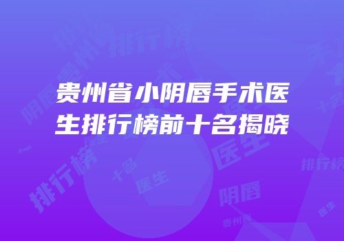 贵州省小阴唇手术医生排行榜前十名揭晓