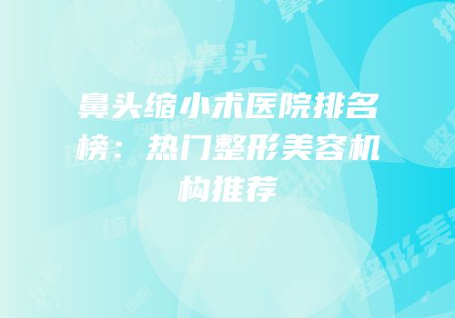 鼻头缩小术医院排名榜：热门整形美容机构推荐