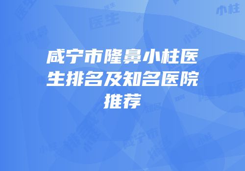 咸宁市隆鼻小柱医生排名及知名医院推荐
