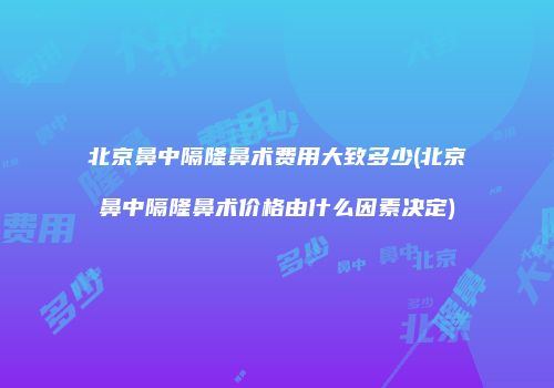北京鼻中隔隆鼻术费用大致多少(北京鼻中隔隆鼻术价格由什么因素决定)