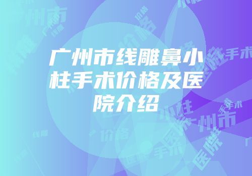 广州市线雕鼻小柱手术价格及医院介绍