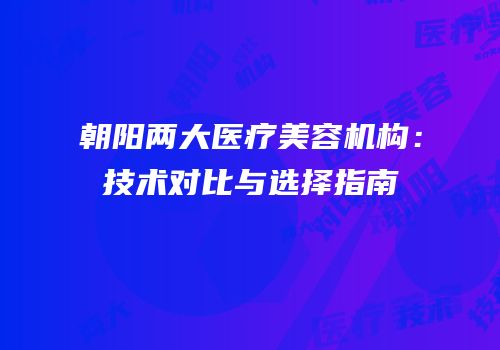 朝阳两大医疗美容机构：技术对比与选择指南