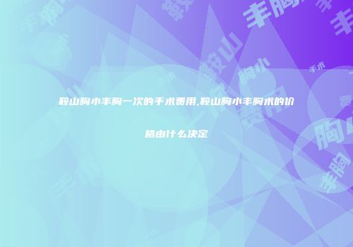 鞍山胸小丰胸一次的手术费用,鞍山胸小丰胸术的价格由什么决定