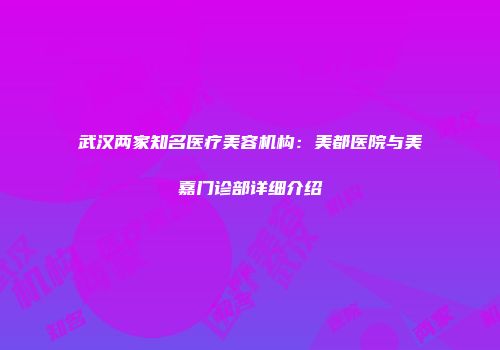 武汉两家知名医疗美容机构：美都医院与美嘉门诊部详细介绍