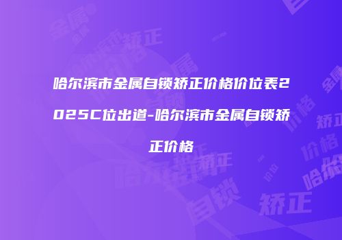 哈尔滨市金属自锁矫正价格价位表2025C位出道-哈尔滨市金属自锁矫正价格