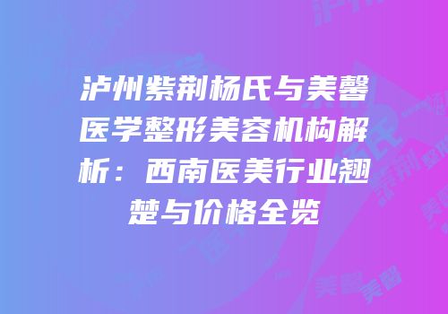 泸州紫荆杨氏与美馨医学整形美容机构解析：西南医美行业翘楚与价格全览