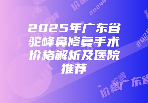 2025年广东省驼峰鼻修复手术价格解析及医院推荐