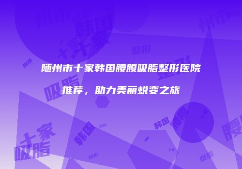随州市十家韩国腰腹吸脂整形医院推荐，助力美丽蜕变之旅