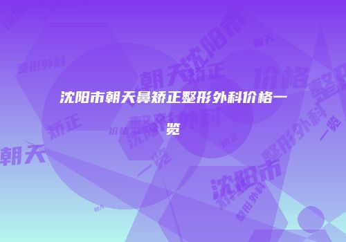 沈阳市朝天鼻矫正整形外科价格一览