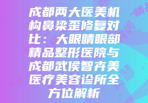 成都两大医美机构鼻梁歪修复对比：大眼睛眼部精品整形医院与成都武侯智卉美医疗美容诊所全方位解析