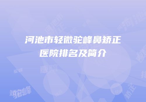 河池市轻微驼峰鼻矫正医院排名及简介
