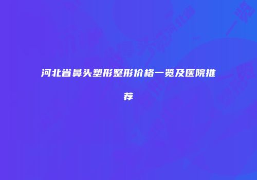 河北省鼻头塑形整形价格一览及医院推荐