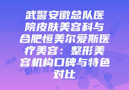 武警安徽总队医院皮肤美容科与合肥恒美尔爱斯医疗美容：整形美容机构口碑与特色对比