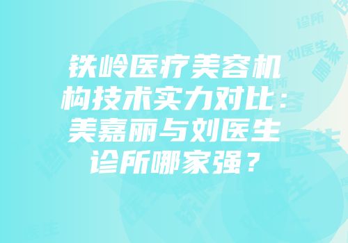 铁岭医疗美容机构技术实力对比：美嘉丽与刘医生诊所哪家强？