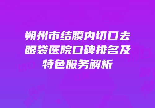 朔州市结膜内切口去眼袋医院口碑排名及特色服务解析