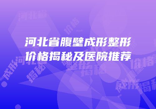 河北省腹壁成形整形价格揭秘及医院推荐