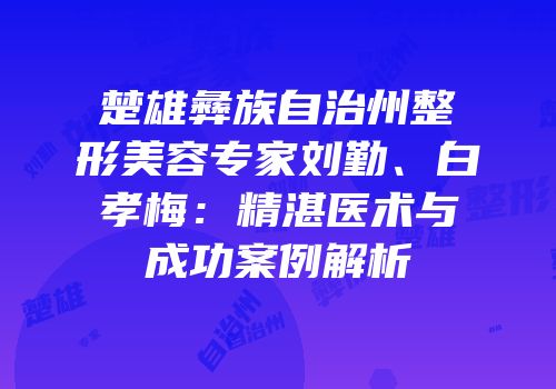 楚雄彝族自治州整形美容专家刘勤、白孝梅：精湛医术与成功案例解析