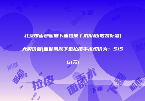 北京市面部肌肤下垂拉皮手术价格(收费标准)大势价目(面部肌肤下垂拉皮手术均价为：51561元)
