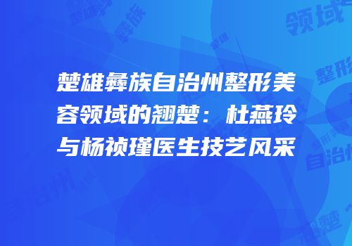 楚雄彝族自治州整形美容领域的翘楚：杜燕玲与杨祯瑾医生技艺风采