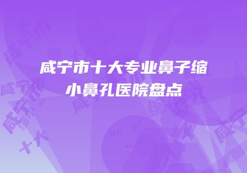咸宁市十大专业鼻子缩小鼻孔医院盘点