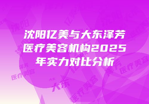 沈阳亿美与大东泽芳医疗美容机构2025年实力对比分析