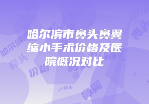 哈尔滨市鼻头鼻翼缩小手术价格及医院概况对比