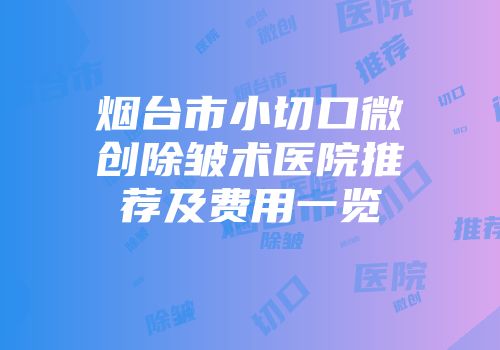 烟台市小切口微创除皱术医院推荐及费用一览
