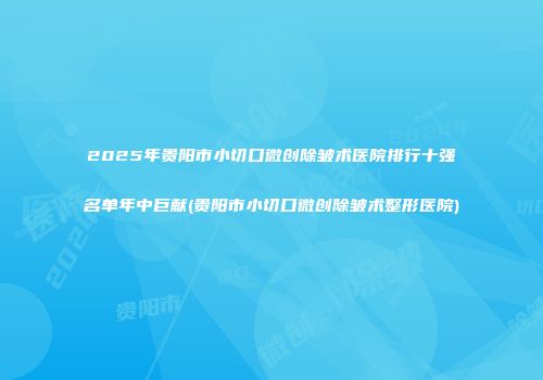 2025年贵阳市小切口微创除皱术医院排行十强名单年中巨献(贵阳市小切口微创除皱术整形医院)